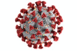 protective barriers for coronavirus