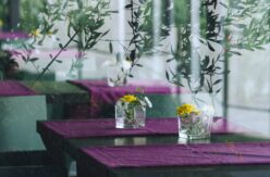 upscale restaurant partitions