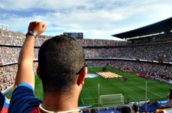 Stadium Partitions - allow fans back